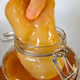 The Russia Kombucha