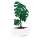 The Sandbox - PLANT COLLECTION