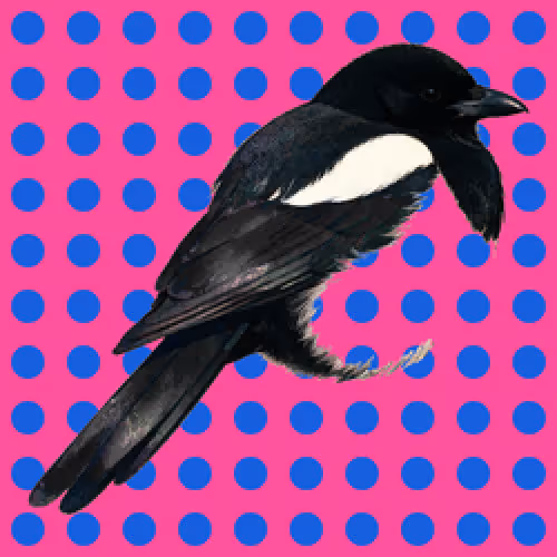 MAGPIE NFT