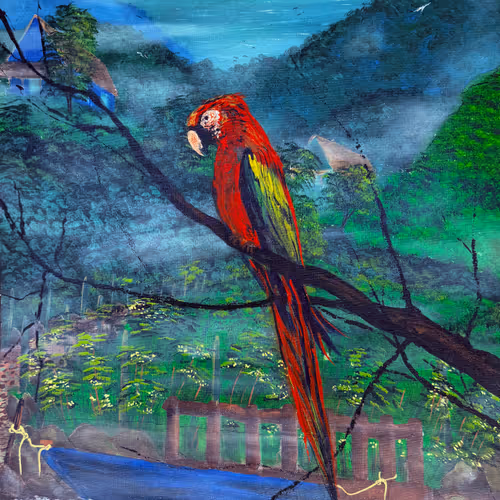 kingdom of macaws
