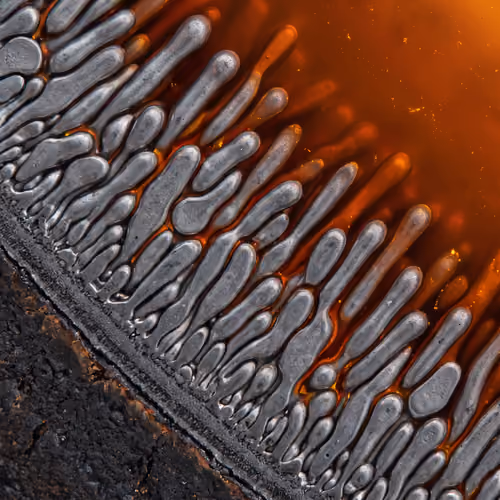 THE SHAPE OF SOLIDIFICATION