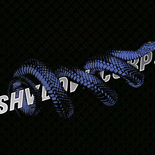THE SHVDOWCORPS COLLECTION