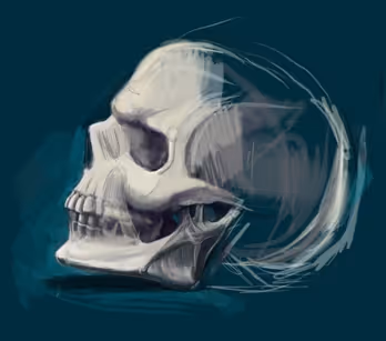 The Skull pic