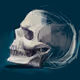 The Skull pic