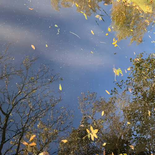the sky from my eye