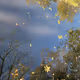 the sky from my eye