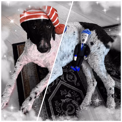 The Sleepy Sophie Collection - old