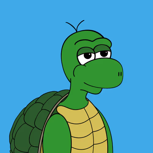 The Slow Turtles