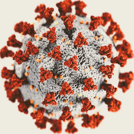 the small immensity - old