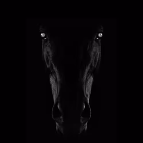 THE SOL STAKER COLLECTION S3