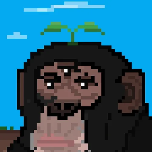 The Stoned Ape Experience - old