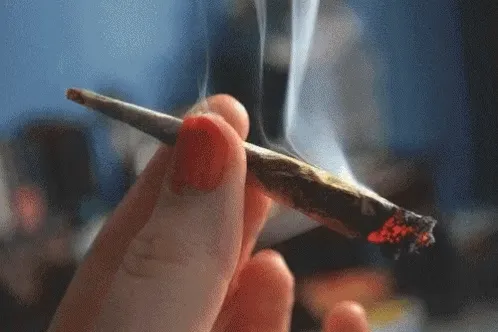 The Stoners