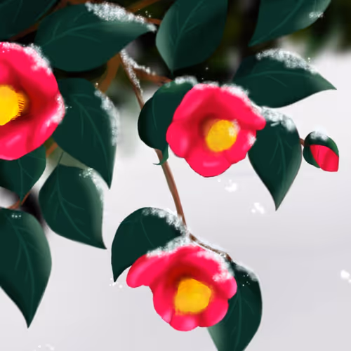 The Story of the Intermission