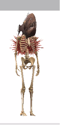 THE STRANGE GENERATION