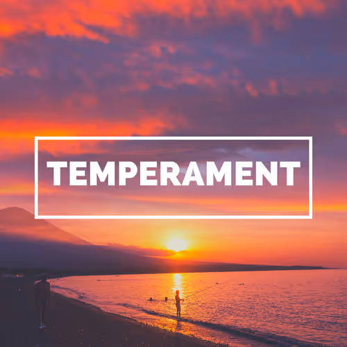 The Temperament