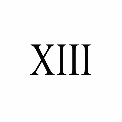 The Thirteenth Field