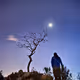 The timeless tree