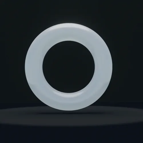 The Torus - old