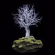 The tree
