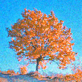 The Tree Soul