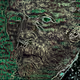 THE TRUE OF VAN GOGH - old