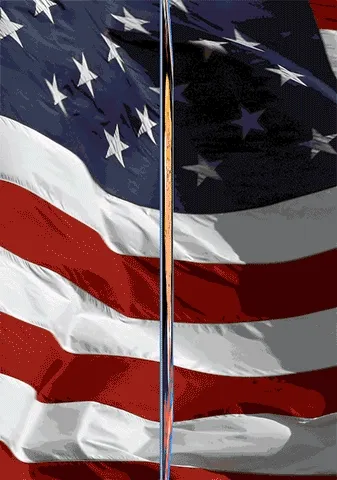 The Trump Collection