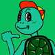 THE Turtle man