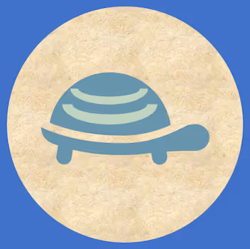 The Turtle Story