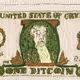 The United States of Crypto