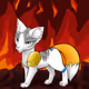 The warrior cat