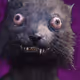 The Weasel. - old