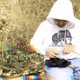 The Weed Chronicles (Discography)