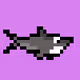 The Weird Sharks