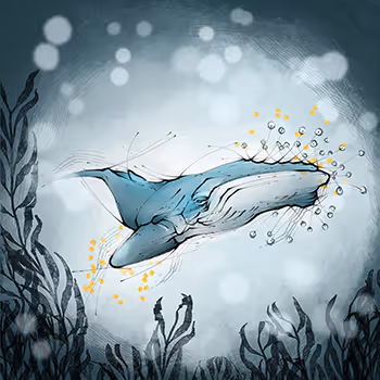 The whale carries the seeds of hope