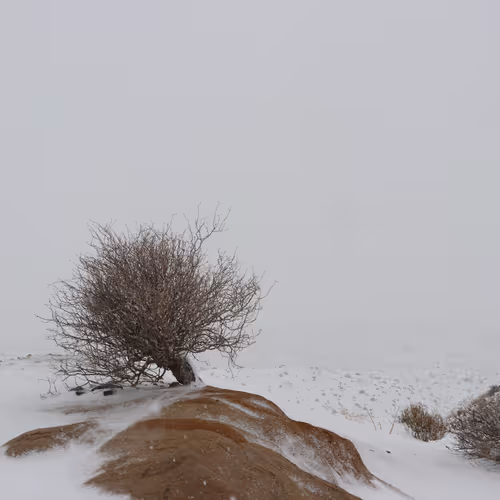 The White_Collection22 V3