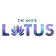 The White Lotus