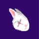 The White Rabbit Nod to Oxford Time