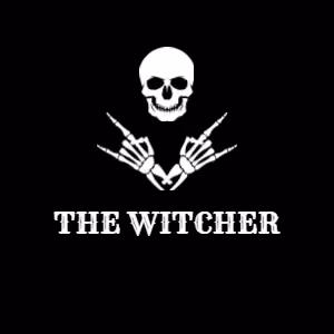 The witcher story