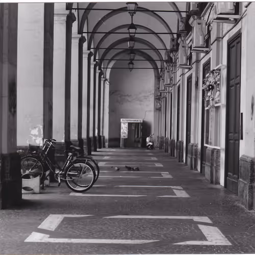 THE WORLD THROUGH THE FILM