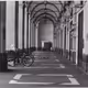 THE WORLD THROUGH THE FILM