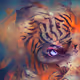 The Year of Tiger Series