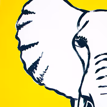 The Yellow Elephant
