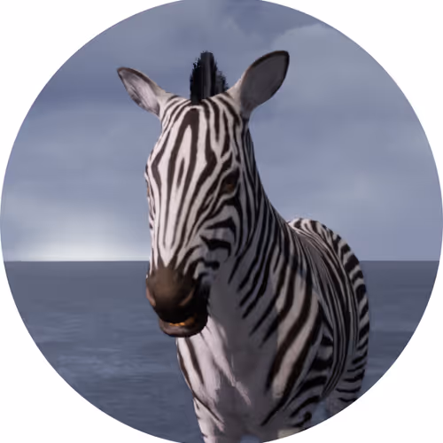 the zebra and the girl