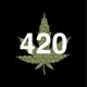 The 420s