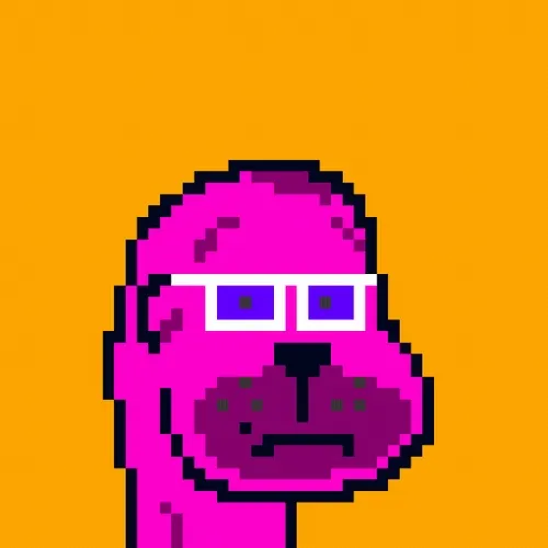 TheAmazingCat