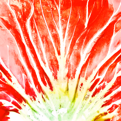 TheArboristArtist Collection