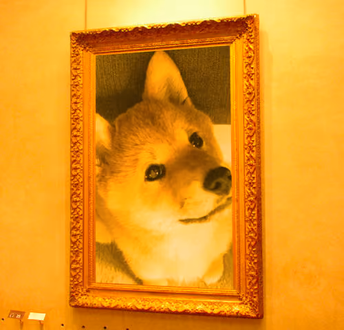 TheaShibaNFT