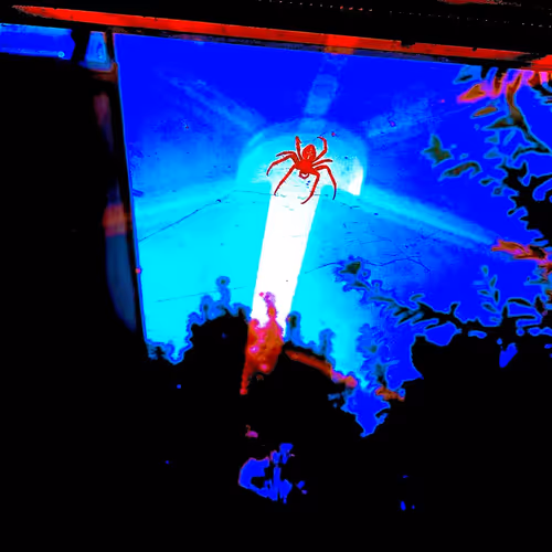 The Beasts of London