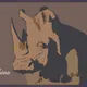 The Big 5 animals