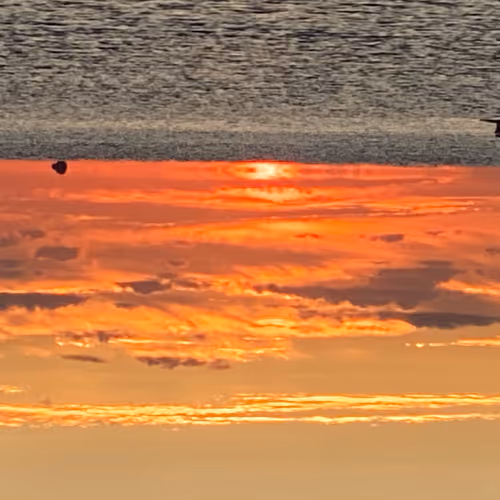 The BigBear Adventures